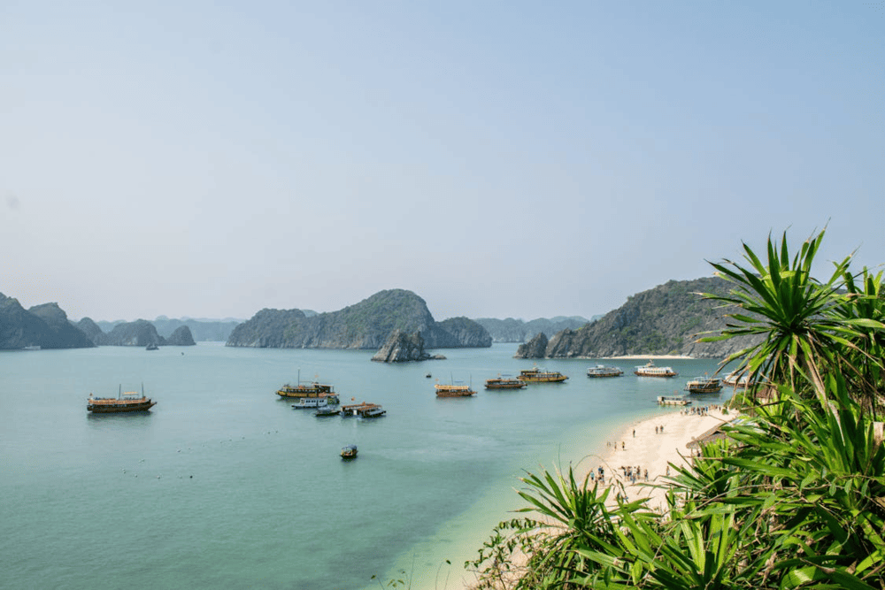 Quan Lan Island offers a pristine landscape of long white sandy beaches and a serene, quiet atmosphere (Source: Pexels)